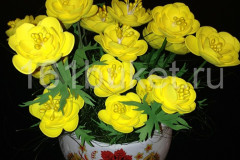 img_7441_result